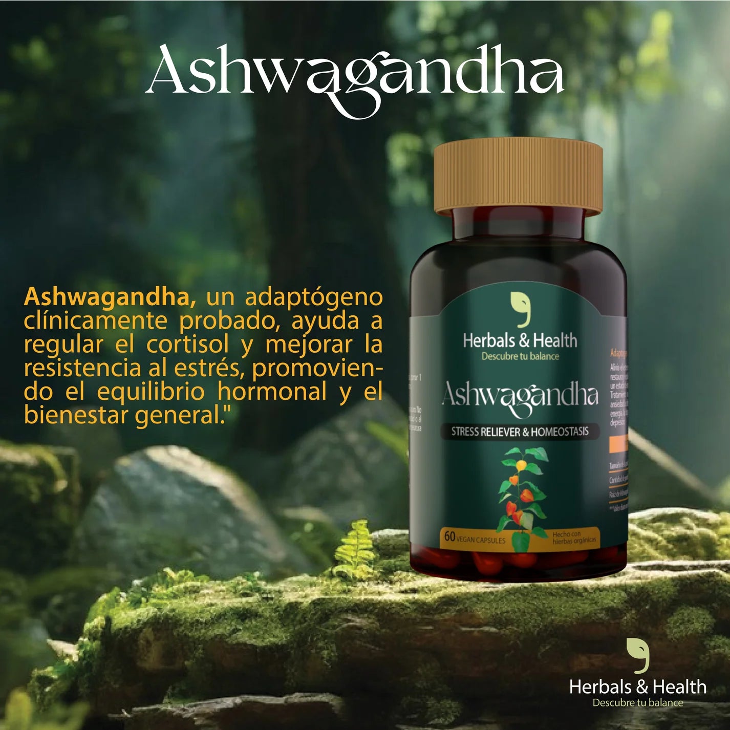 Ashwagandha + Regalo 🎁